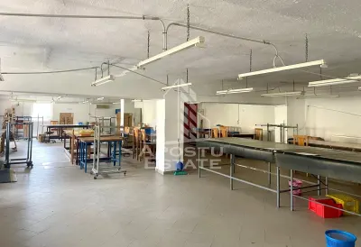 Spatii productie si depozitare, zona Sebis - Prunisor-Carand - foto 11