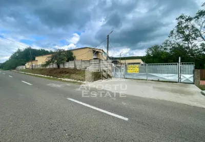 Spatii productie si depozitare, zona Sebis - Prunisor-Carand - foto 24