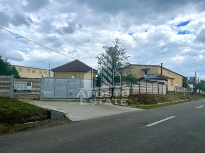 Spatii productie si depozitare, zona Sebis - Prunisor-Carand - foto 25