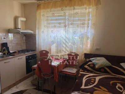 Casa individuala cu 193 mp utili in Timisoara - foto 9