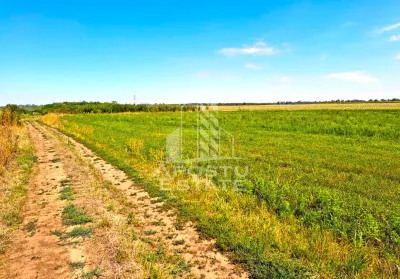 Teren, intrarea in Zadareni - foto 3