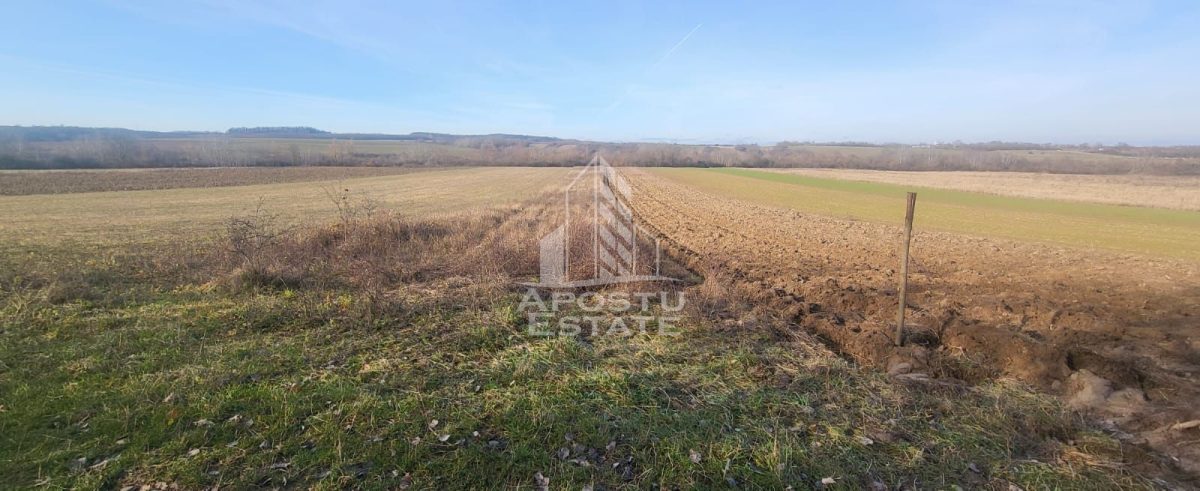 Teren agricol, Barsa, Eligibil pentru fonduri Europene - Barsa