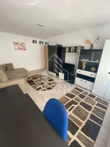 Apartament cu 2 camere de inchiriat zona Lipovei - foto 3