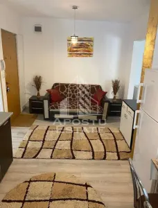 Apartament cu 2 camere de inchiriat zona Lipovei - foto 4