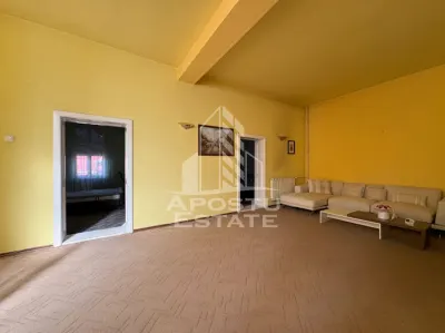 Vila cu potential comercial si rezidential in zona Sinaia Timisoara - foto 6