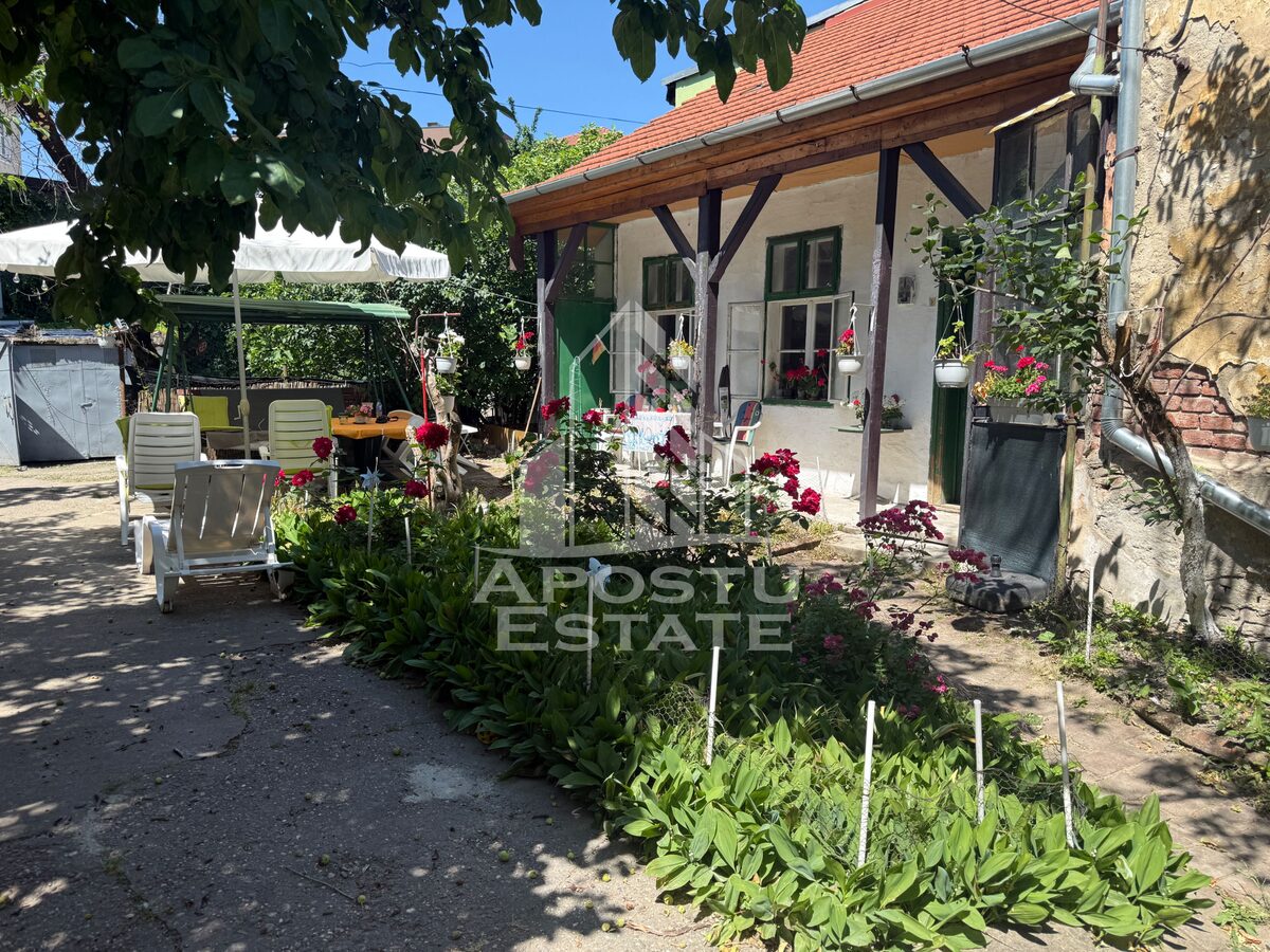 Doua case de vanzare in aceeasi curte zona Maria - Timisoara
