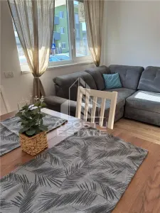 Apartament open space,3 camere si curte proprie,Dumbravita - foto 13
