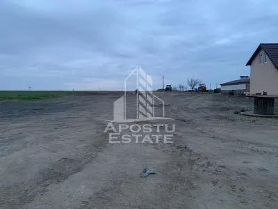 Teren intravilan, 2635 mp, Zabrani - foto 4