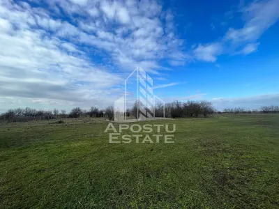 Parcele de teren pentru inchiriat, zona Gai - Arad