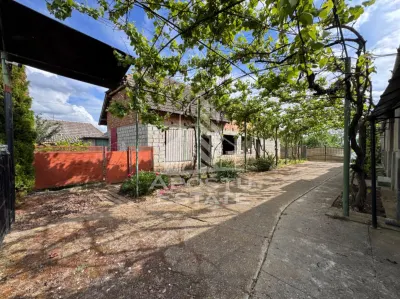 Casa batraneasca + Constructie la rosu, in sat Pesac, judetul Timis - foto 14