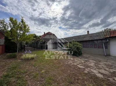 Casa batraneasca + Constructie la rosu, in sat Pesac, judetul Timis - foto 19