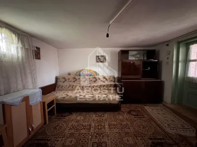 Casa batraneasca + Constructie la rosu, in sat Pesac, judetul Timis - foto 21