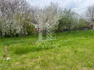 Teren de vanzare, 1001 mp, vatra veche, in Sanandrei, Timis - foto 2