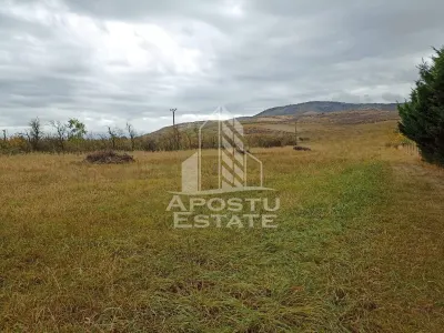 Teren 3800 Mp Ghioroc cu Utilitati - foto 2