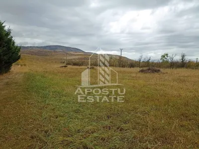 Teren 3800 Mp Ghioroc cu Utilitati - foto 3
