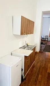 Apartament cu 2 camere , 66 mp , centrala proprie, zona Ultracentrala - foto 5