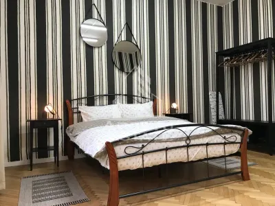Apartament ultracentral, complet renovat in Timisoara - foto 15