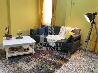 Apartament ultracentral, complet renovat in Timisoara - foto 8