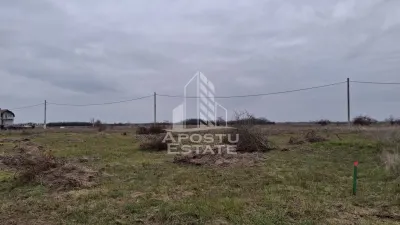 Teren intravilan 500mp Mandruloc - foto 4