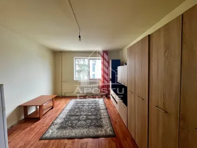 Garsoniera de vanzare ,etaj 3, 22 mp, zona Aradului Timisoara - foto 3