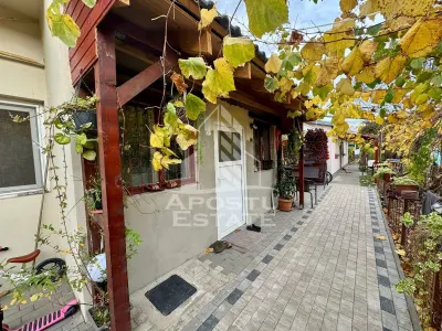 Doua apartamente la curte comuna , zona Iosefin - foto 1