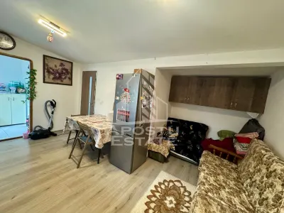 Doua apartamente la curte comuna , zona Iosefin - foto 11