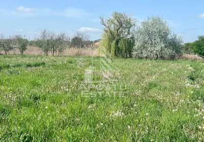 Casa individuala cu curte individuala si gradina - Zona Gai - foto 24