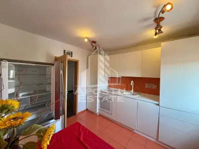 Apartament cu 3 camere de vanzare, decomandat, Girocului, Timisoara - foto 10