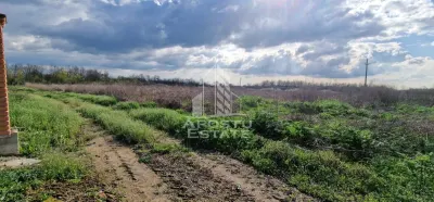 Teren intravilan , curent , apa , nr de casa Sacosu Turcesc - foto 2