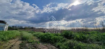 Teren intravilan , curent , apa , nr de casa Sacosu Turcesc - foto 3