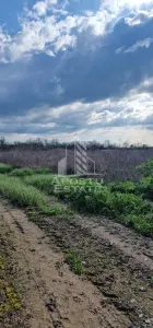 Teren intravilan , curent , apa , nr de casa Sacosu Turcesc - foto 4