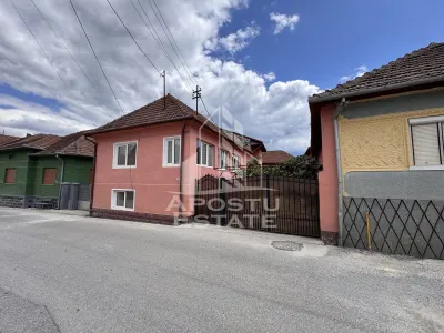 Pensiune cu 8 camere, cu iesire la rau, Salasu de Jos, Hunedoara - foto 21
