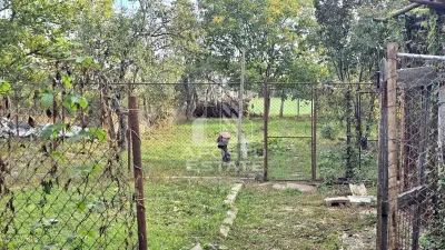 Casa individuala de vanzare, Mehala, Timisoara, 740 mp teren - foto 10