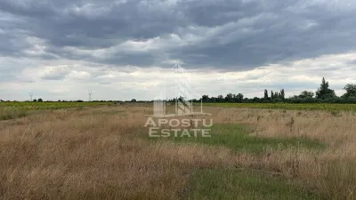 Parcela teren casa, intravilan, 1000 mp, Sanmihaiu Roman - foto 1