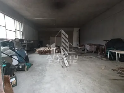 Casa individuala + garaj si anexa, oportunitate investitie, Sagului! - foto 21