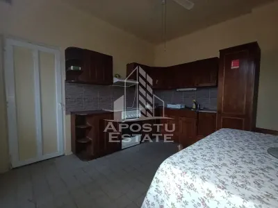 Casa individuala + garaj si anexa, oportunitate investitie, Sagului! - foto 9