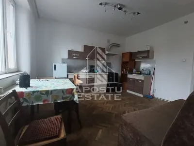 Casa individuala + garaj si anexa, oportunitate investitie, Sagului! - foto 10