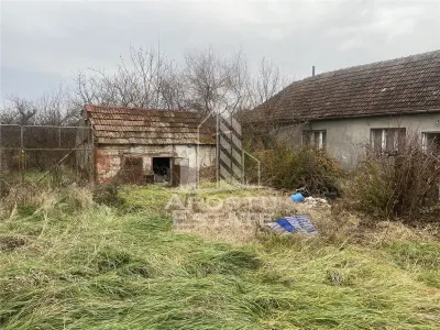Casa individuala in Ghiroda cu 1509 mp teren - foto 2