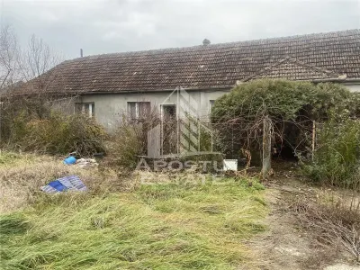 Casa individuala in Ghiroda cu 1509 mp teren - foto 3