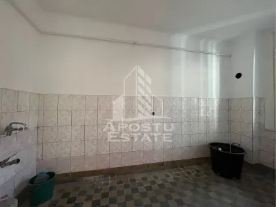 Casa individuala  7 camere, 3 bai, garaj, teren 1129 mp, zona Iosefin - foto 11