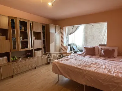 Apartament de vanzare cu o camera de vanzare Steaua - Timisoara
