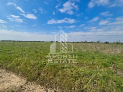 Teren intravilan de vanzare – Sannicolau Mare, judetul Timis - foto 3