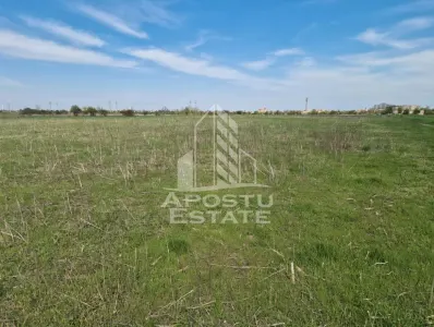 Teren intravilan de vanzare – Sannicolau Mare, judetul Timis - foto 4