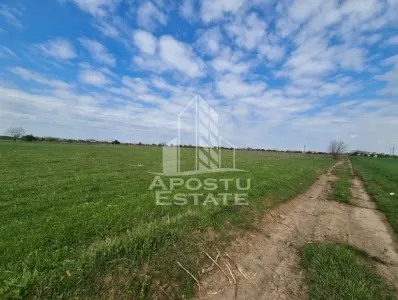 Teren intravilan de vanzare – Sannicolau Mare, judetul Timis - foto 6