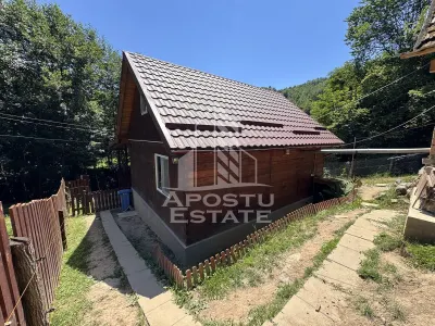 Casa din lemn, zona muntoasa, cu rau, la cheie, Ribita, Hunedoara - foto 15