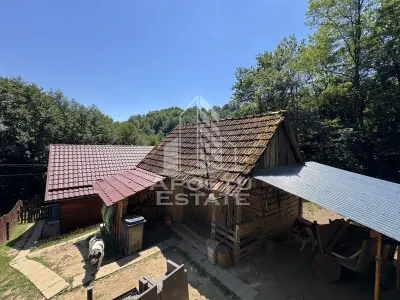 Casa din lemn, zona muntoasa, cu rau, la cheie, Ribita, Hunedoara - foto 17