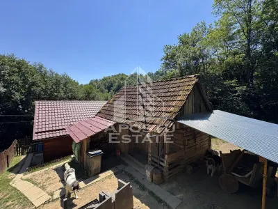 Casa din lemn, zona muntoasa, cu rau, la cheie, Ribita, Hunedoara - foto 18