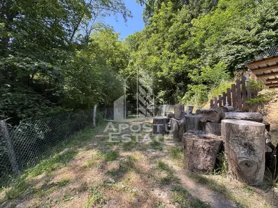 Casa din lemn, zona muntoasa, cu rau, la cheie, Ribita, Hunedoara - foto 19