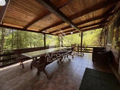 Casa din lemn, zona muntoasa, cu rau, la cheie, Ribita, Hunedoara - foto 5