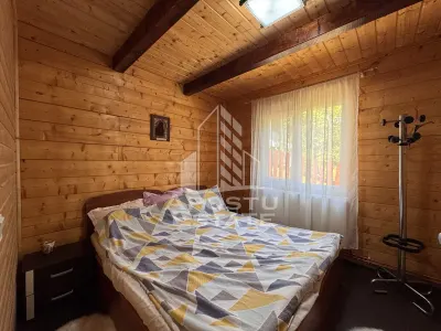 Casa din lemn, zona muntoasa, cu rau, la cheie, Ribita, Hunedoara - foto 8